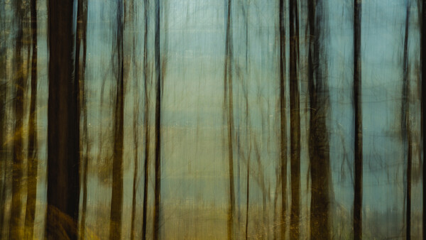 What Photographers Rarely Learn From Painting